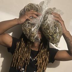 BandoBoolin (p.Chxsen)