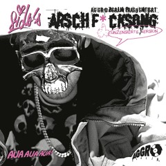 Arschficksong (B-Tight Rmx)