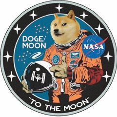 Doge to the Moon