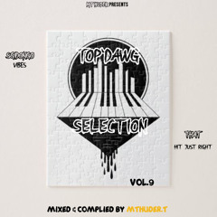 TOP'DAWG SELECTION VOL.9 MIXED AND COPLIED BY M'thuder.T