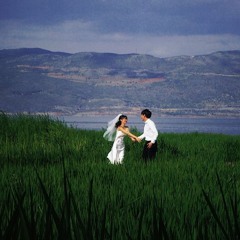 Vui Lắm Nha (Lofi Ver.) - Hương Ly x Zeaplee