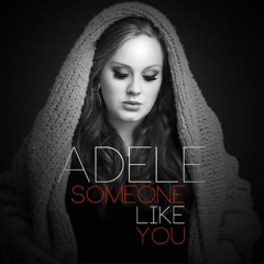 Adele – Someone Like You Lyrics (Synth Pop Cover)