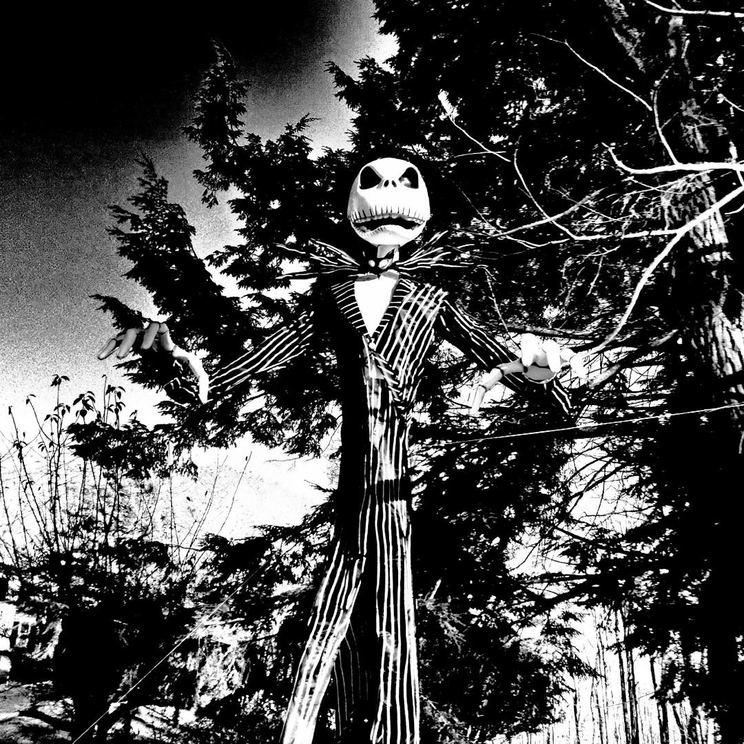 Stream Mr. Skeleton by Cpirit | Listen online for free on SoundCloud