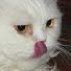 Trap Tove Lo - Habits Keys N Krates Flip