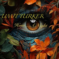 Umit Turker - How .. A Night