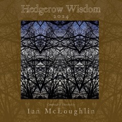 Hedgerow Wisdom 2024