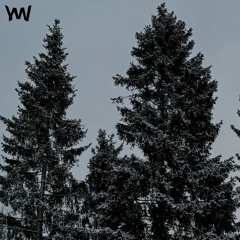 ПЕРВЫМ СНЕГОМ (slowed)