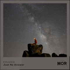 FMVIPER - Just No Answer