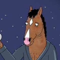 Bojack Horseman X Not That Im Anywhere