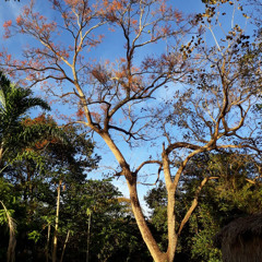 03.10.2025 - Cap. XXIV - Não Coloqueis a Candeia Sob o Alqueire (12)