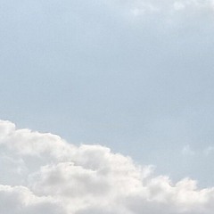 FLY