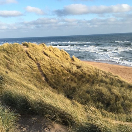 Balmedie Beach (Live) - Dear Alba