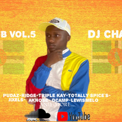 DJ CHAIKO LIONCUB VOL.5 MIX BOUYON 2024