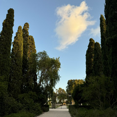 Make this youth radiant