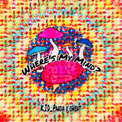 Where’s My Mind? (K.I.D_Panda x cHent) prod. JOHNS BEATS