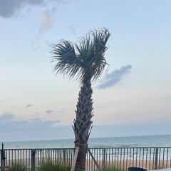 been_going_crazy (4)