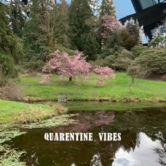 Little Ceasers On A Sick Day. Quaretine Vibes