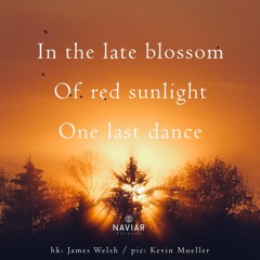 haiku #444: In the late blossom / Of red sunlight / One last dance