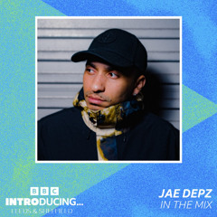 BBC Introducing Mini Mix