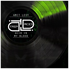 Amit Levy - Acid In My Blood (Extended Mix)