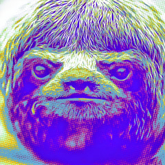 Sloth Attack