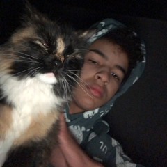 RealSHi-(prod. heyylotus)