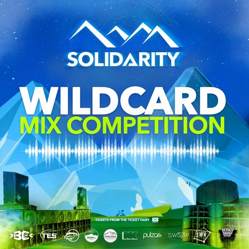 SOLIDARITY 2023 WILDCARD COMP - TETHERS