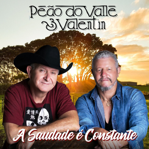 Stream A Saudade É Constante by Peão do Vale e Valentim