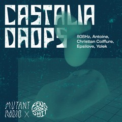 Feng Shit Records x Mutant Radio [29.03.2021]