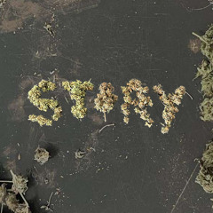 story (fvckpainboyz)