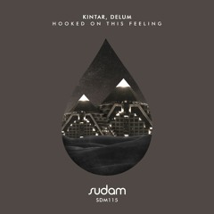 [Premiere] Kintar, Delum - Hooked On This Feeling (Kintar Remix) [Sudam Recordings]