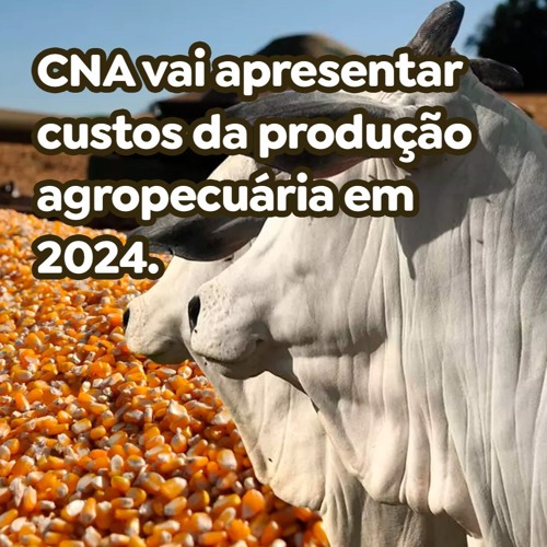 CNA vai apresentar custos da produção agropecuária em 2024