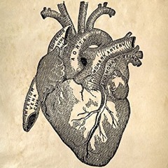 Harden Not Your Heart (w/ The Rev. Kelly O'Sullivan)