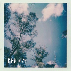 BPR #75 ≈ Go With The Flo (Al Davo)