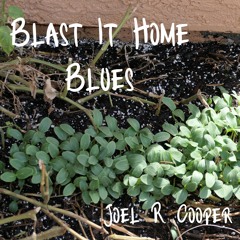 Blast It Home Blues