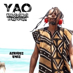 LES ETATS UNIS D'AFRIQUE