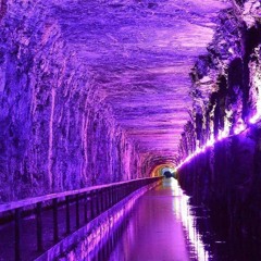 Purple Years / Haunted Lavvy