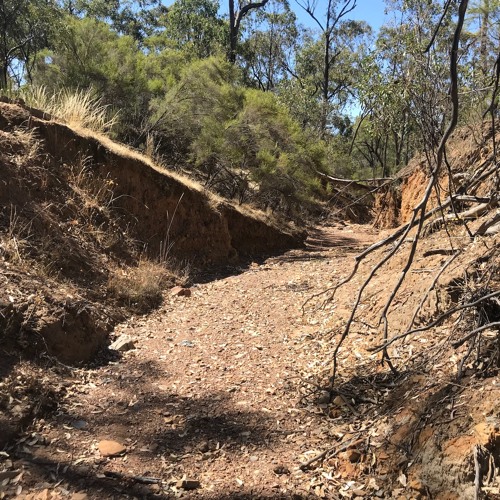 RiverChronographs(naviarhaiku368)