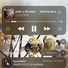Wokhardt prod. yunnygoldz x lilvicbxi