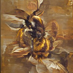 Sitting in a chair, it's raining outside, and my love has just died of typhoid fever (AKA cafe)