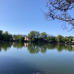 Som mentida (VII)