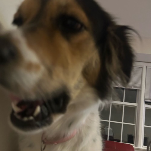 kendrick lamar prod bullseye