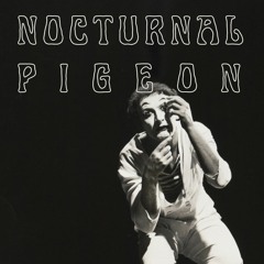 nocturnal pigeon no.13