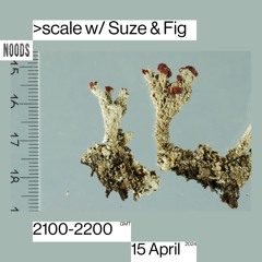 >scale w/ Suze & Fig - Noods Radio - 15.04.24