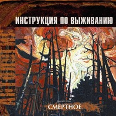Инструкция по выживанию - Убить жида