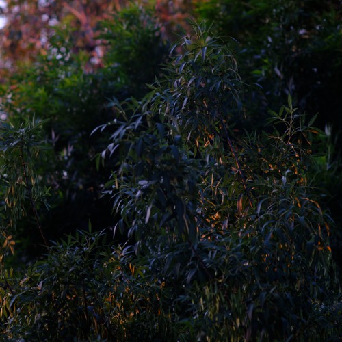 2025-06-01-TheDoctrineOfGodRevealedThroughChrist–TheBookOfSignsInJohn’sGospel–Pt10j