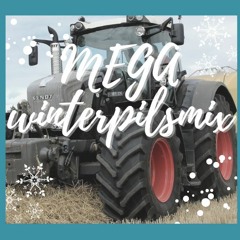 Mega Winterpilsmix