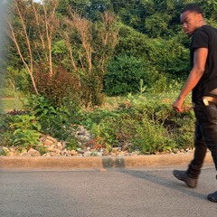 Cross the Road 2