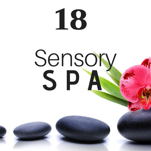 Stream Sensory Spa by Spa Smooth Jazz Relax Room | Listen online for ...