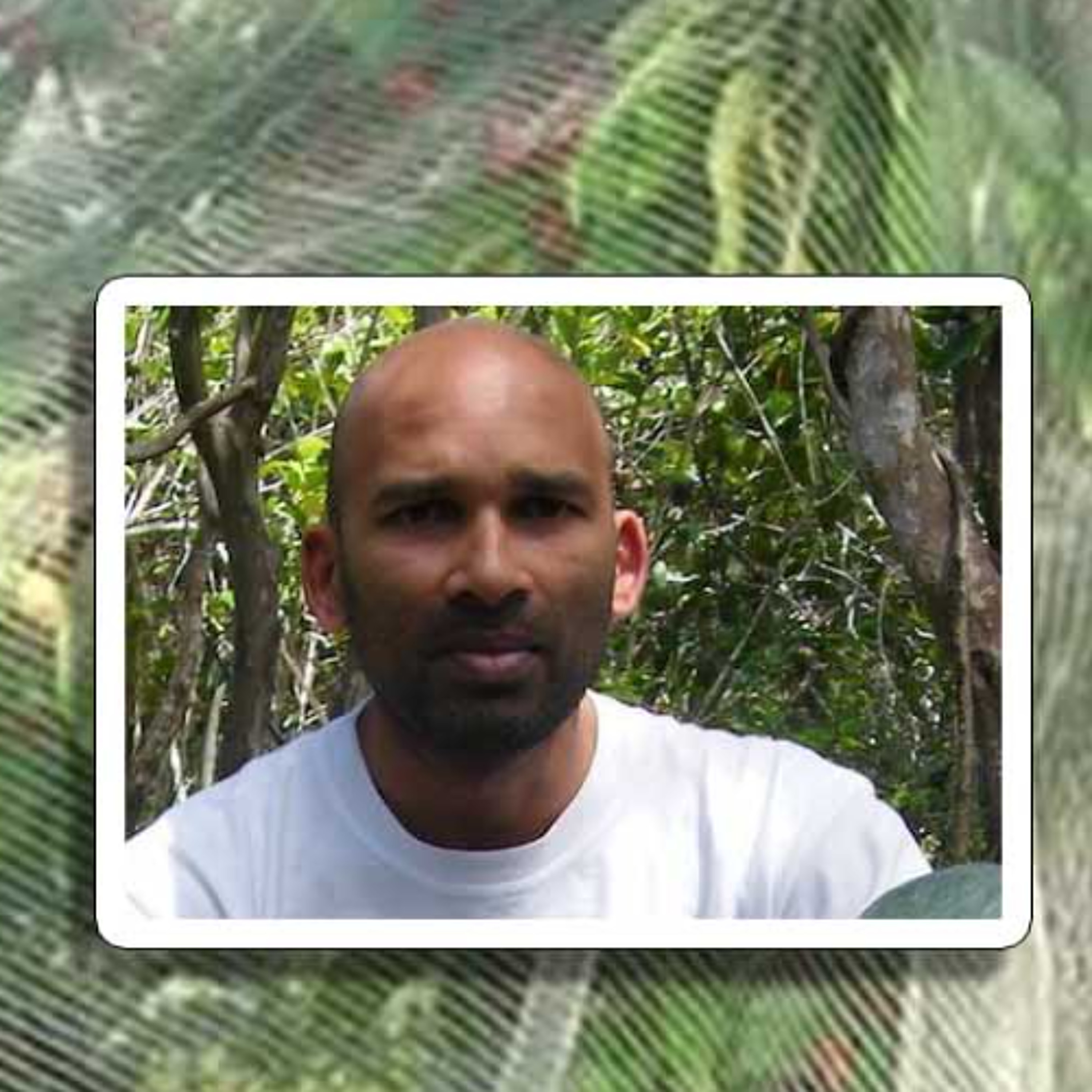 Saison des fruits : la Mauritius Wildlife Foundation plaide pour la protection des forêts plutôt que l’abattage des chauves-souris